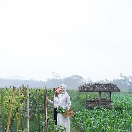 Balkondes Karanganyar Borobudur Hotel Magelang Ngoại thất bức ảnh